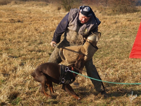 The christmas training 27.12.2006